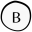 Brizna Store